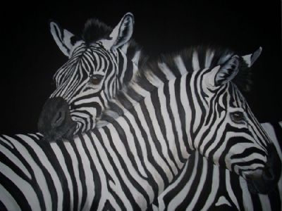 zebra love